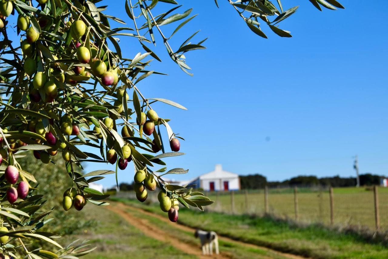 Herdade Da Burquilheira Family Retreat Alcáçovas Eksteriør bilde