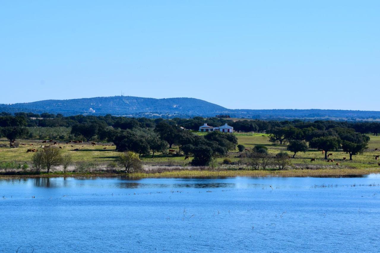 Herdade Da Burquilheira Family Retreat Alcáçovas Eksteriør bilde