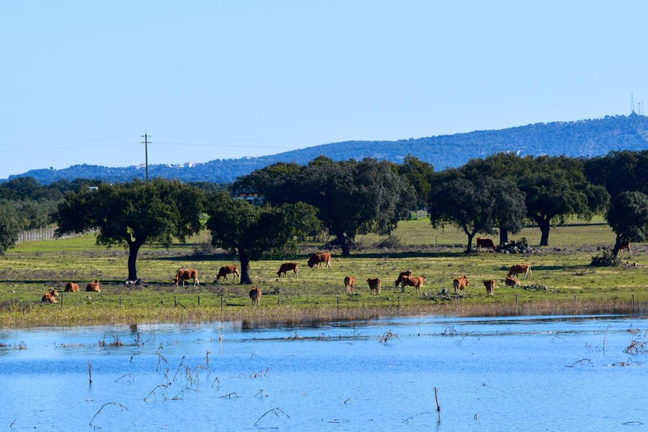 Herdade Da Burquilheira Family Retreat Alcáçovas Eksteriør bilde