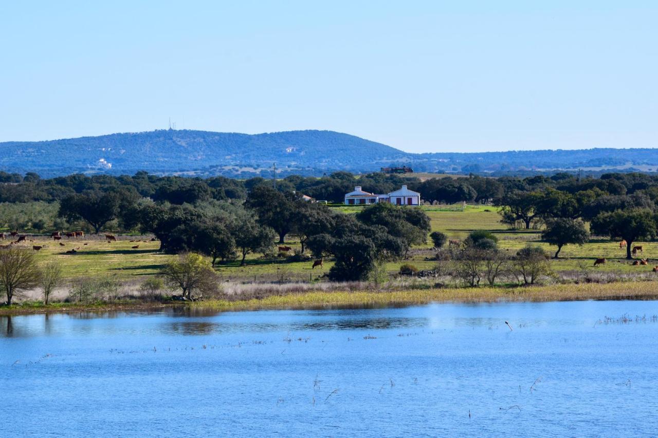 Herdade Da Burquilheira Family Retreat Alcáçovas Eksteriør bilde