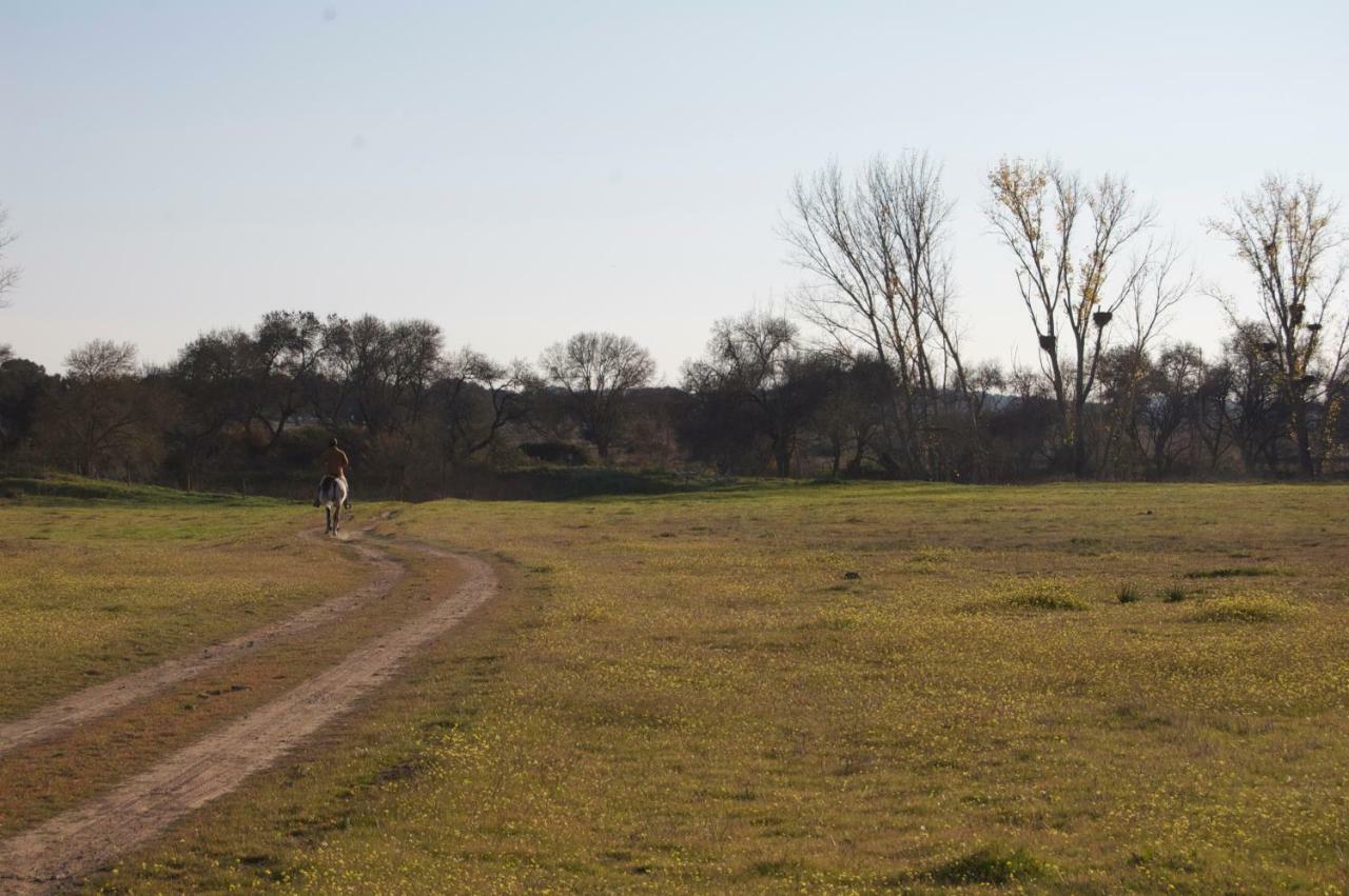 Herdade Da Burquilheira Family Retreat Alcáçovas Eksteriør bilde